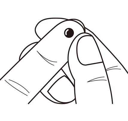 手順イラスト：検体採取